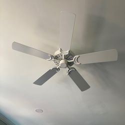 Dan's Fan City