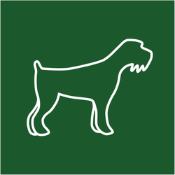 Hughes Group Real Estate