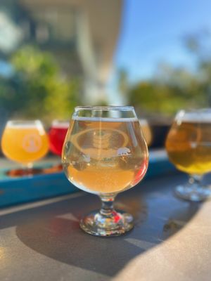 Pure Project Balboa Park by null