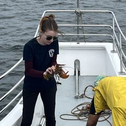 Cap'n Fish's Cruises - Demonstration (Jul 2025)