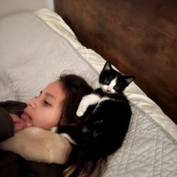 Paquito RIP due to FIP