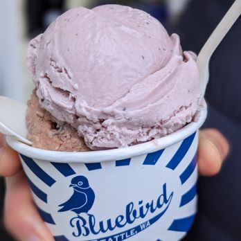 Bluebird Ice Cream - Marionberry and theo chocolate chunk - split single scoop - Ice Cream & Frozen Yogurt Near Me - Seattle, Washington