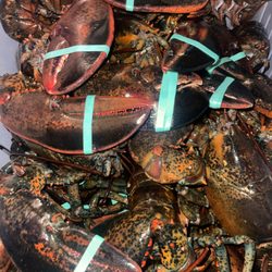 Diggers Catch Seafood
