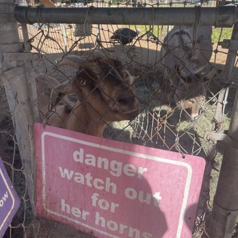 Carl's Damaged Pet Warehouse - Local Flavor Near Me - Gilbert, Arizona