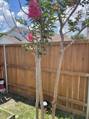 FANNIN TREE FARM - Updated July 2025 - 44 Photos & 67 Reviews - 15700