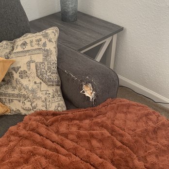 Jesennie's Upholstery - Furniture Reupholstery Near Me - Martinez, California