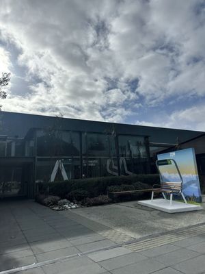 Queenstown Airport by null