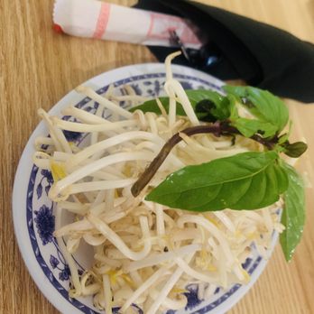 Noodle Palace - Bean sprouts to put into my soup (substituting for noodles) - Cambodian Near Me - Santa Rosa, California Noodle Palace - Bean sprouts to put into my soup (substituting for noodles) - Cambodian Near Me - Santa Rosa, California