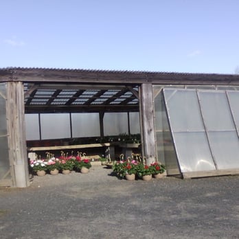 Wade's Vegetables - Spring is in bloom, flowers are coming - Farmers Market Near Me - Bloomfield, Connecticut