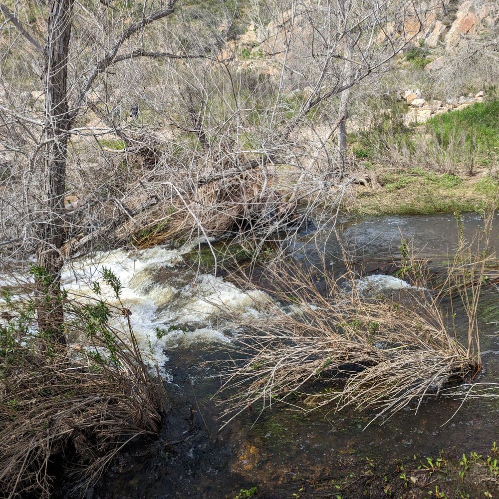 Oak Canyon Trail - Multiple areas that looks like mini-waterfalls - Hiking Near Me Oak Canyon Trail - Multiple areas that looks like mini-waterfalls - Hiking Near Me