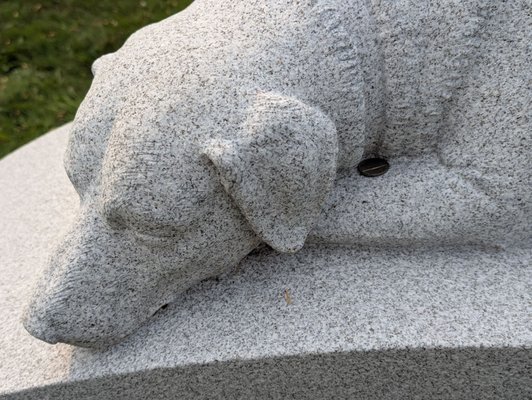 Hope Cemetery by null