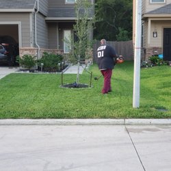Moss Lawn Care Services