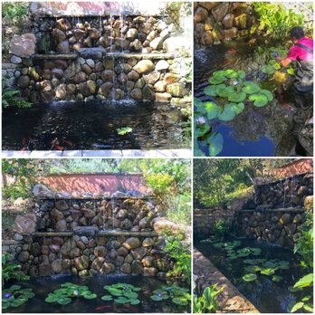 Montecito Koi Ponds - Water Garden Restoration - Pool Cleaners Near Me