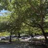 Dr. Ronald E. McNair Park gift card
