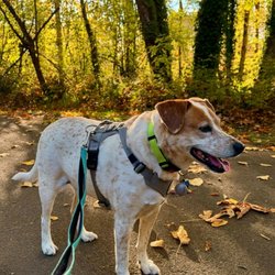 Minto-Brown Island Park - Trails