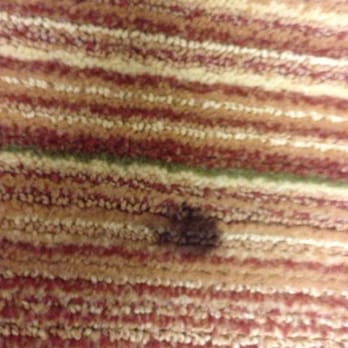 Residence Inn by Marriott Arlington Courthouse - Close up of the carpet stains in the room - is the room really actually clean? Fingers crossed! - Hotels Near Me - Arlington, Virginia Residence Inn by Marriott Arlington Courthouse - Close up of the carpet stains in the room - is the room really actually clean? Fingers crossed! - Hotels Near Me - Arlington, Virginia