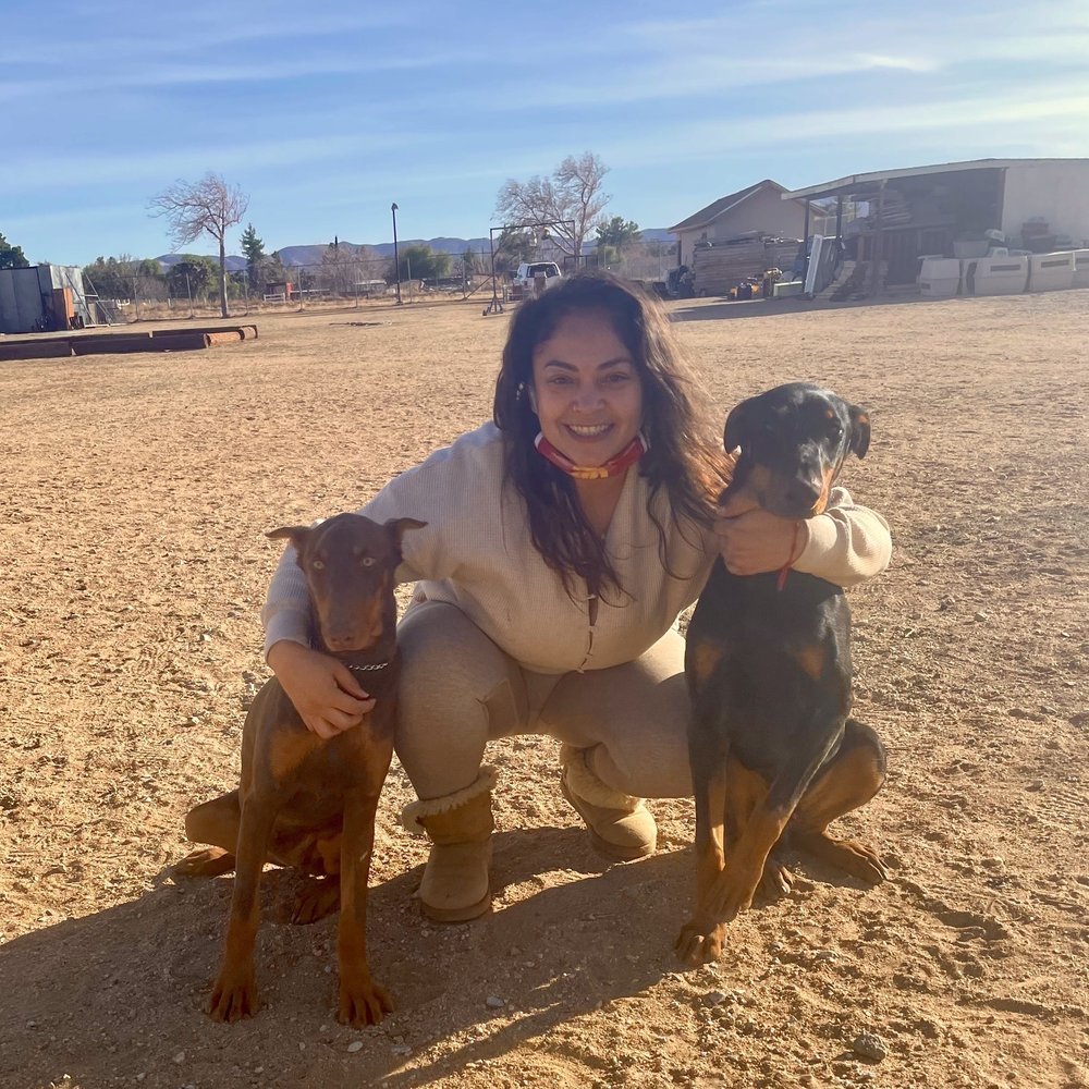 Smart Dog Training School - Melo and Remy at Gonzalo's property - Pet Training Near Me - Palmdale, California Smart Dog Training School - Melo and Remy at Gonzalo's property - Pet Training Near Me - Palmdale, California