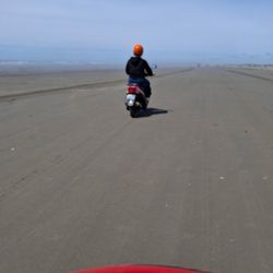 Affordable Mopeds