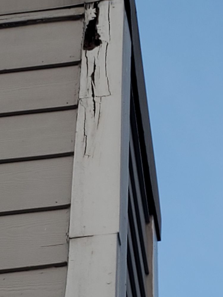 Slide of Doug's Revisions