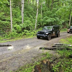 New River ATV - More clearing of the tree with a chainsaw