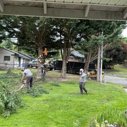 I've Got A Guy Tree Service
