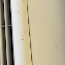 Quality Inn & Suites Cameron Park Shingle Springs - Blood on a/c unit