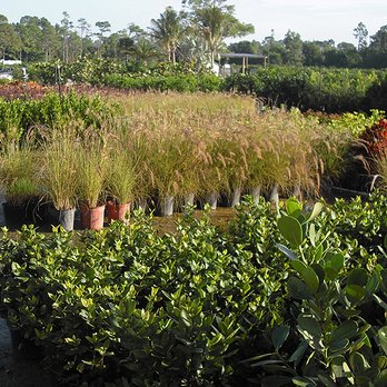The Garden Depot - Nurseries & Gardening Near Me - Jupiter, Florida