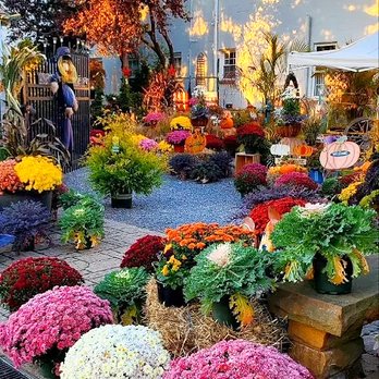 Cleo’s Garden Shoppe - Nurseries & Gardening Near Me - Babylon, New York