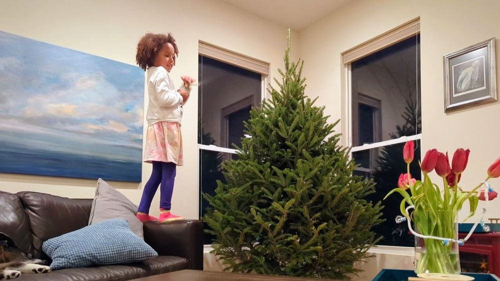 GREENWAY CHRISTMAS TREE FARMS Updated September 2024 14098