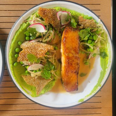 Kahlo & Loyal by null