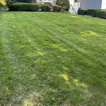 Dyers Groundskeeping Services - a freshly mowed lawn - Lawn Services Near Me Dyers Groundskeeping Services - a freshly mowed lawn - Lawn Services Near Me