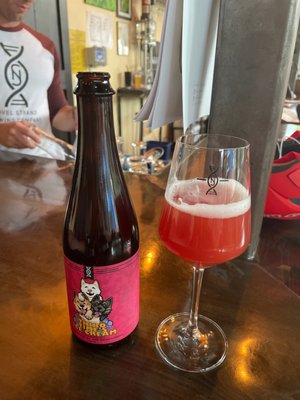 Novel Strand Brewing Company by null