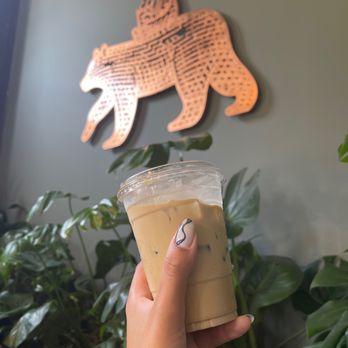 The Boy & The Bear - Coffee & Tea Near Me - Pasadena, California