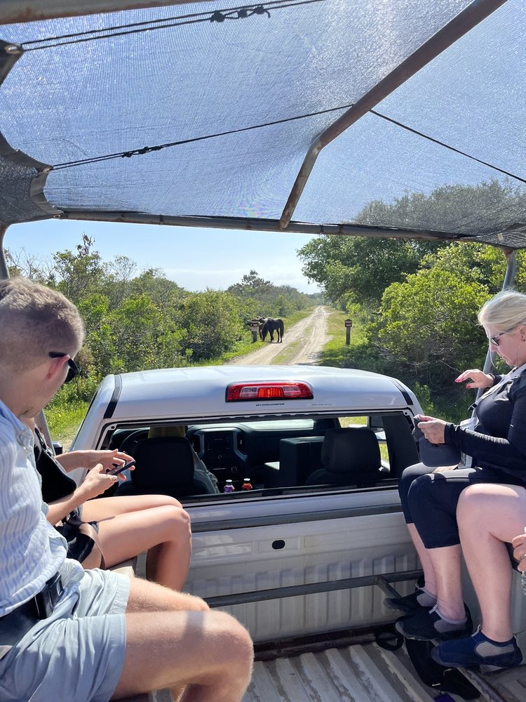 Back Country Safari Tours