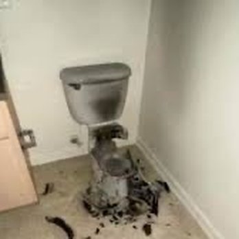 Taco Bell - My toilet after Taco Bell - Fast Food Near Me - Brandenburg, Kentucky Taco Bell - My toilet after Taco Bell - Fast Food Near Me - Brandenburg, Kentucky