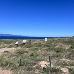 Bird sanctuary along the coast