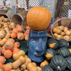 Rich's Greenhouse & Farm