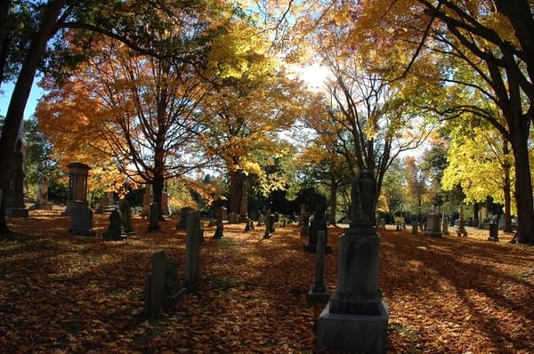 Forest Hills Cemetery by null
