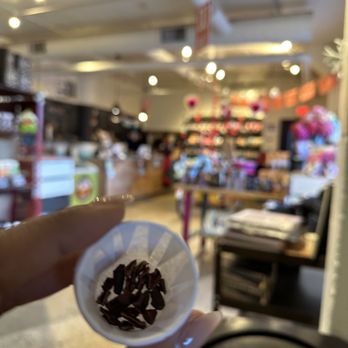 Taza Chocolate - a person holding a cup of chocolate - Chocolatiers & Shops Near Me - Somerville, Massachusetts Taza Chocolate - a person holding a cup of chocolate - Chocolatiers & Shops Near Me - Somerville, Massachusetts
