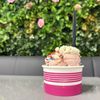 Cream Fusion Ice Cream Cafe gift card