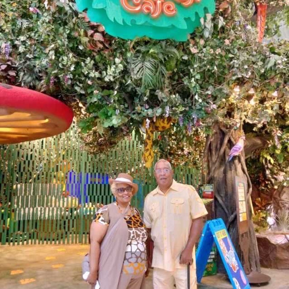 Rainforest Cafe - American Near Me - Katy, Texas Rainforest Cafe - American Near Me - Katy, Texas