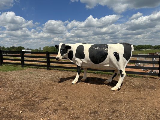 Southern Belle Farm by null