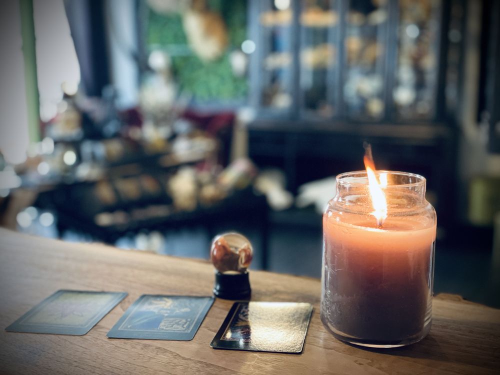 Sleeping Sirens - taxidermy in Cocoa, FL