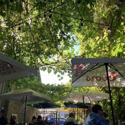 The Goose & Gridiron Restaurant & Pub - View from the patio, as it's so pleasant out.