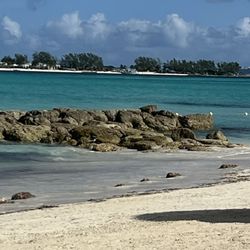 Cruise Planners - Peggy Honore