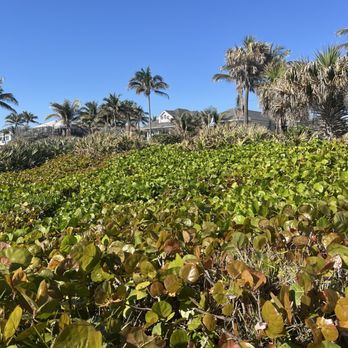 Delray Beach - Beaches Near Me - Delray Beach, Florida