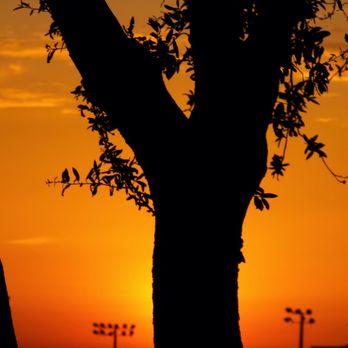 Warren Sports Complex - Come Shoot with FinestFotos at the Golden Hour! - Soccer Near Me - Frisco, Texas Warren Sports Complex - Come Shoot with FinestFotos at the Golden Hour! - Soccer Near Me - Frisco, Texas