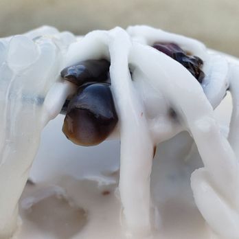Mid Autumn - Coconut dessert from Coconut & Co - Festivals Near Me - Walnut, California Mid Autumn - Coconut dessert from Coconut & Co - Festivals Near Me - Walnut, California