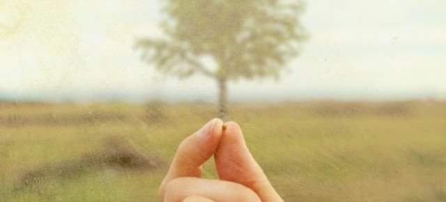 Seeds of Satya - grief counselor in Asheville, NC