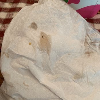 Twin Acres Ice Cream Shoppe - Bug found in soft serve on a napkin - Ice Cream & Frozen Yogurt Near Me - Sandwich, Massachusetts Twin Acres Ice Cream Shoppe - Bug found in soft serve on a napkin - Ice Cream & Frozen Yogurt Near Me - Sandwich, Massachusetts